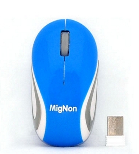 <h4>Mignon 2.4G Wireless Mouse</h4>